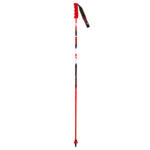 Vola Gs Carbon Poles