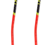 Leki WCR GS Carbon 3D